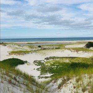 Meet your Posher, Delana